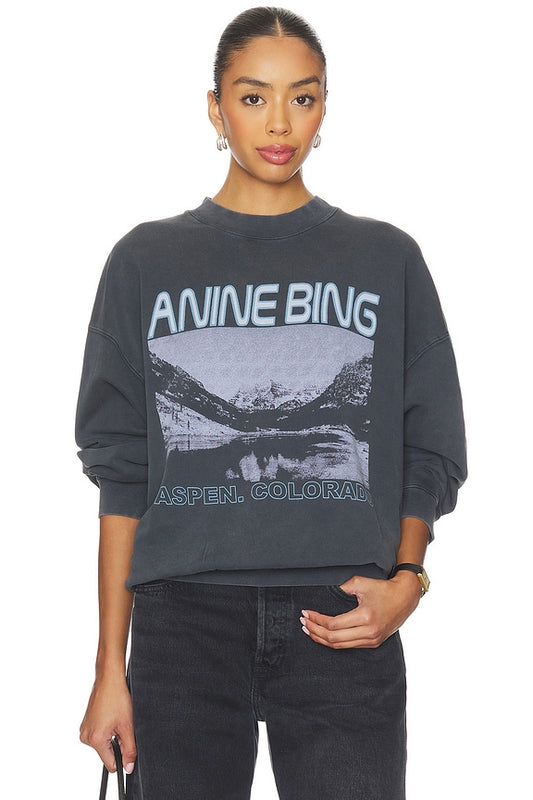 Anine Bing x REVOLVE Jaci Sweatshirt