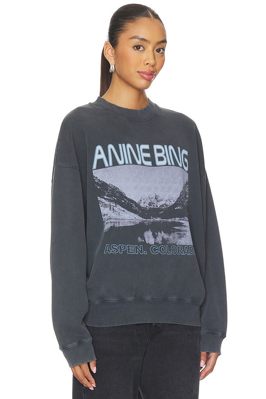 Anine Bing x REVOLVE Jaci Sweatshirt
