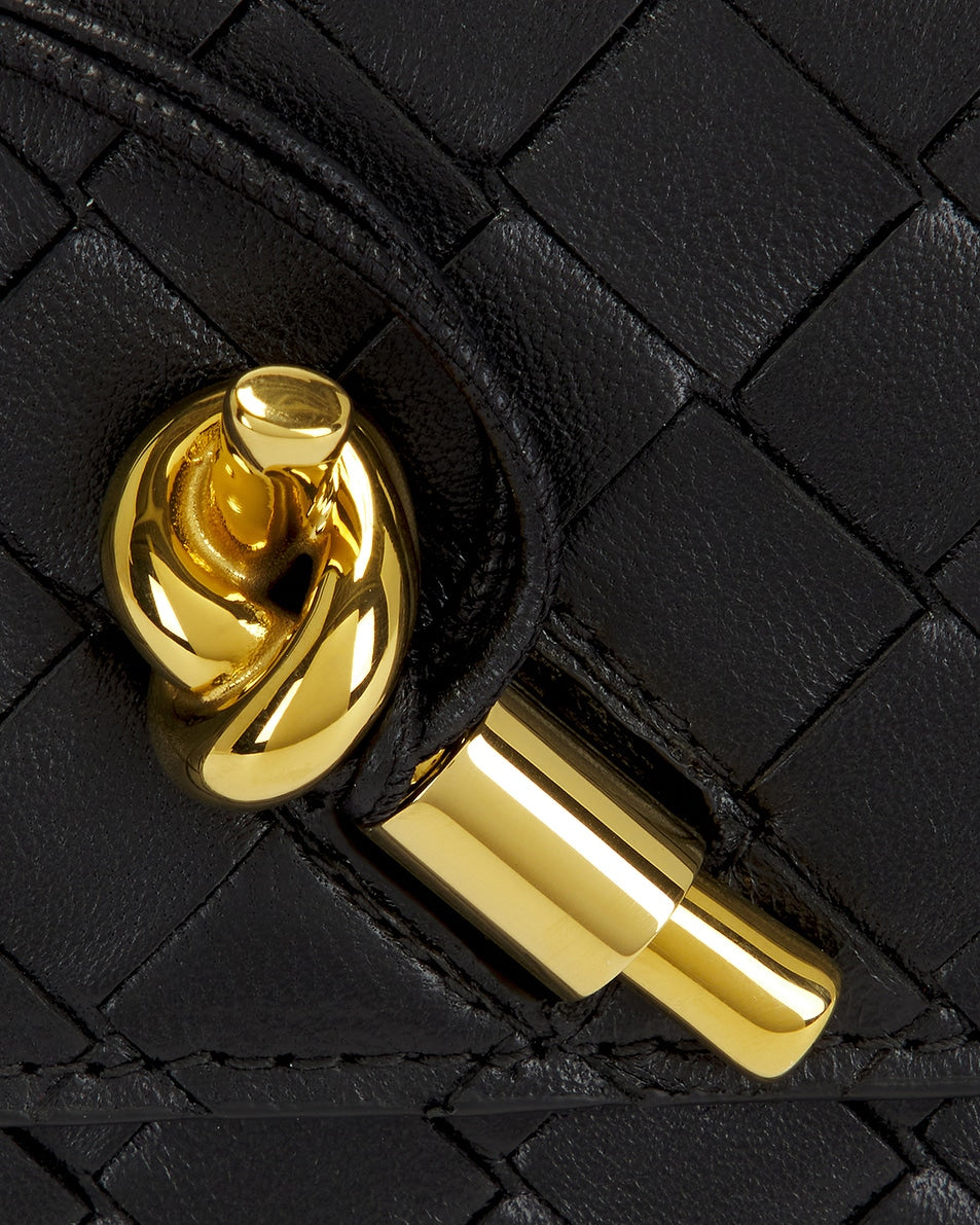 Bottega Veneta Andiamo Long Clutch