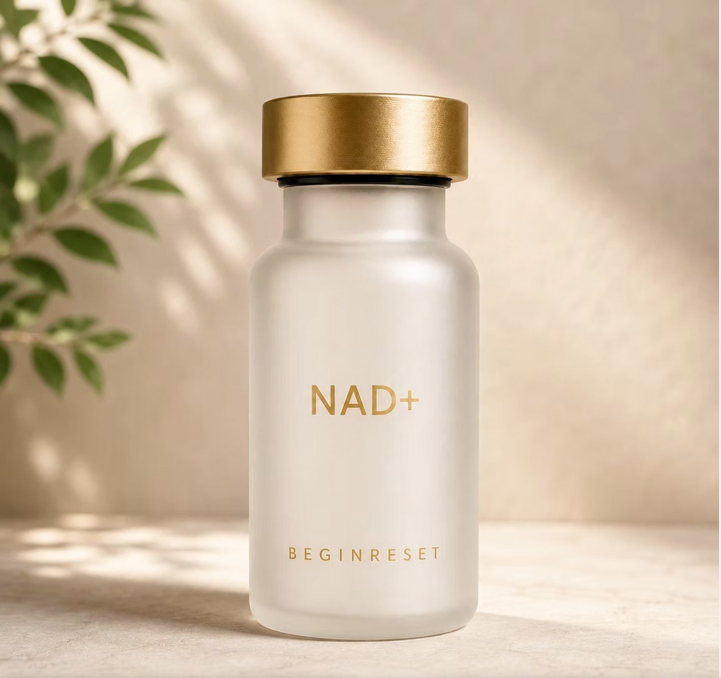Begin Reset NAD+ Injections