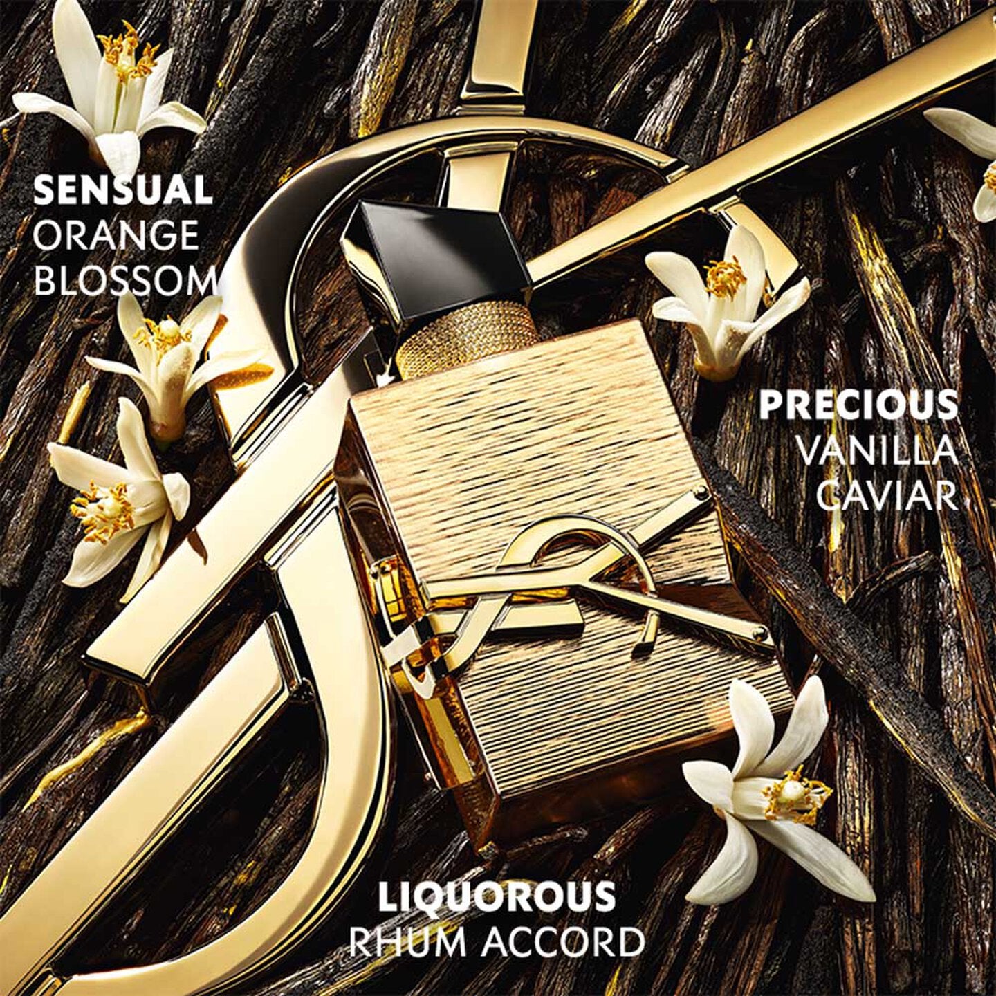 SAINT LAURENT LIBRE VANILLE COUTURE